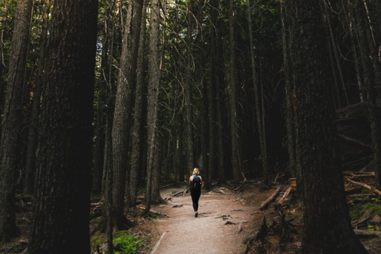 Waarom wandelen je stressniveau verlaagt