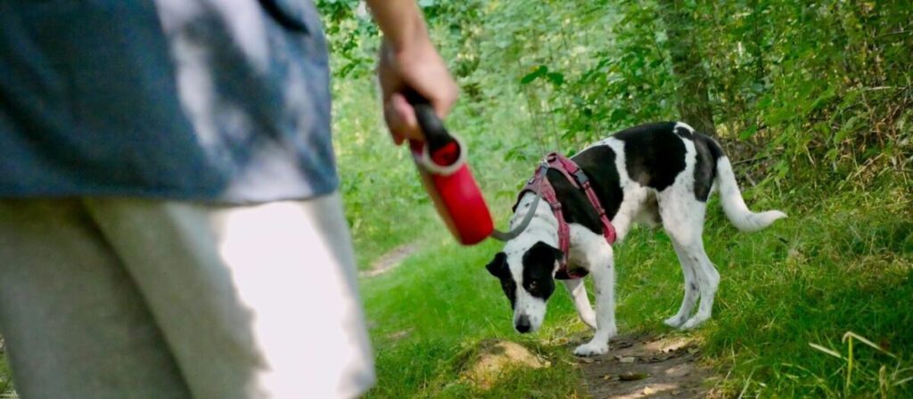 Wandelen of mediteren: wat is beter voor HSP’ers?
