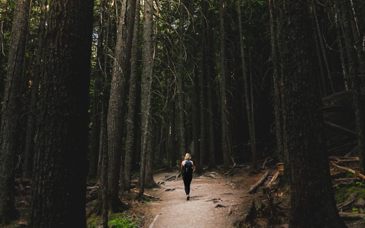 Waarom wandelen je stressniveau verlaagt